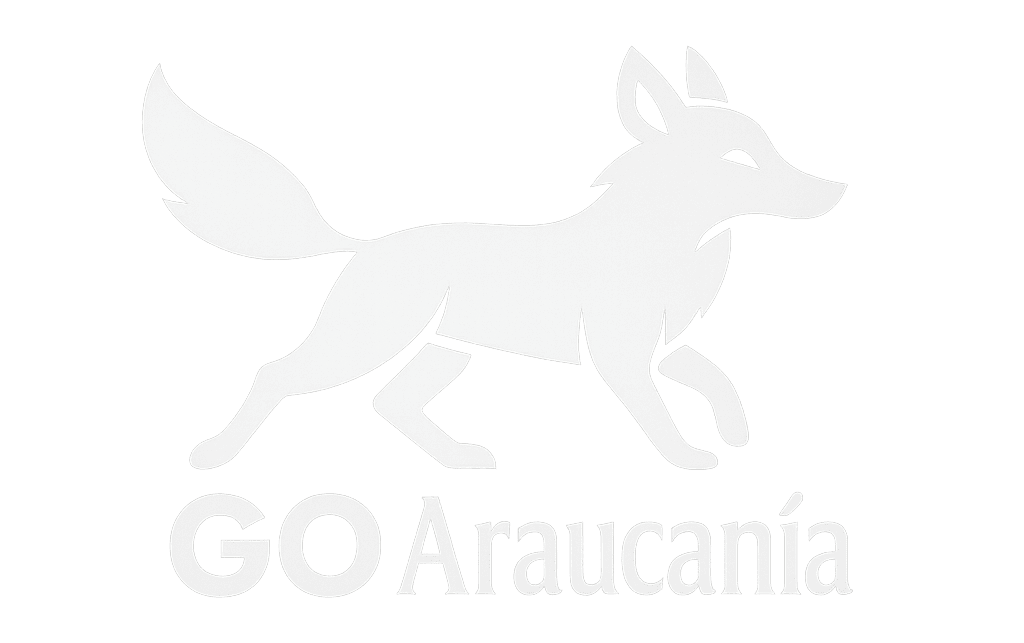 Go Araucanía – Ir a la página de inicio